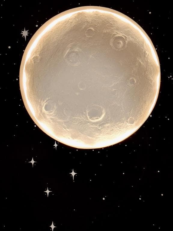 Moonlit Serenity