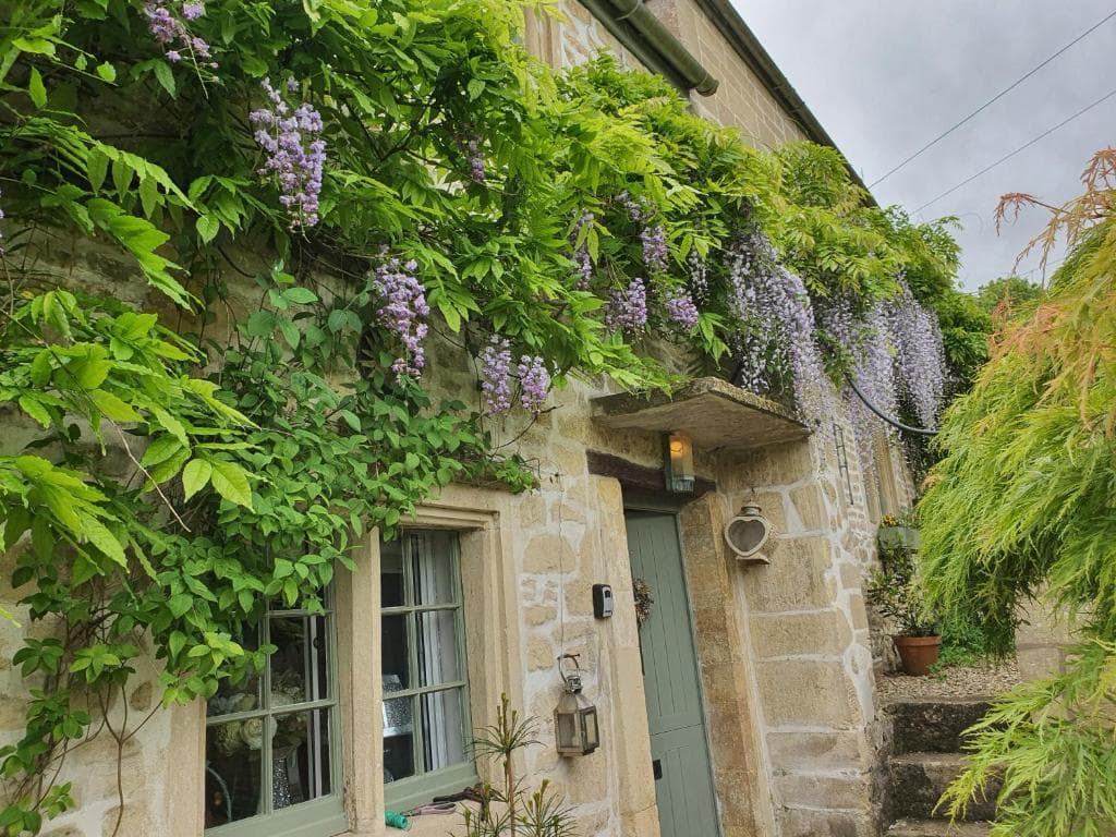 Lamb Cottage Bed and Breakfast