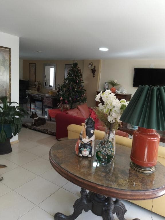 Charming sunny bedroom overlooking beautiful Amsterdam Avenue in best Condesa area