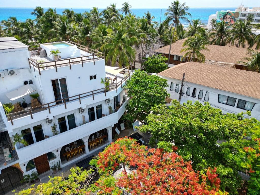 Casa Alkimia Town