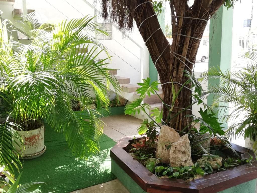 Quetzal Loft